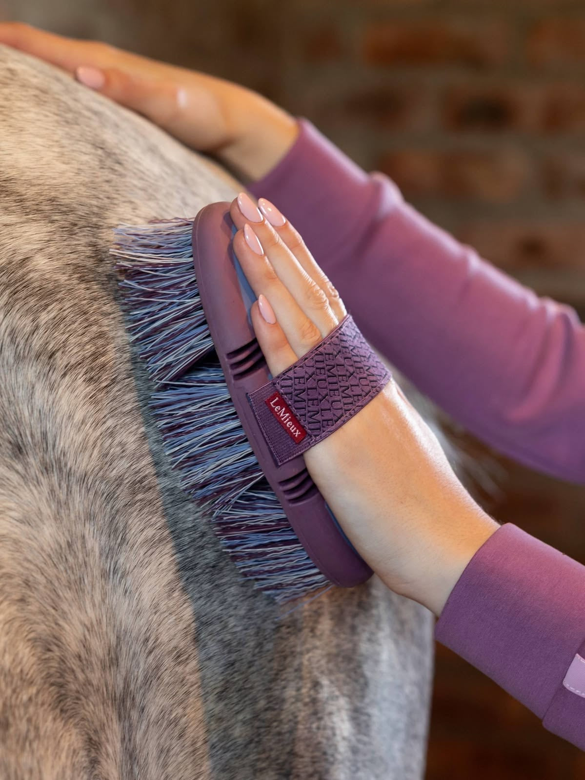 CURA DEL CAVALLO E DEL CUOIO
