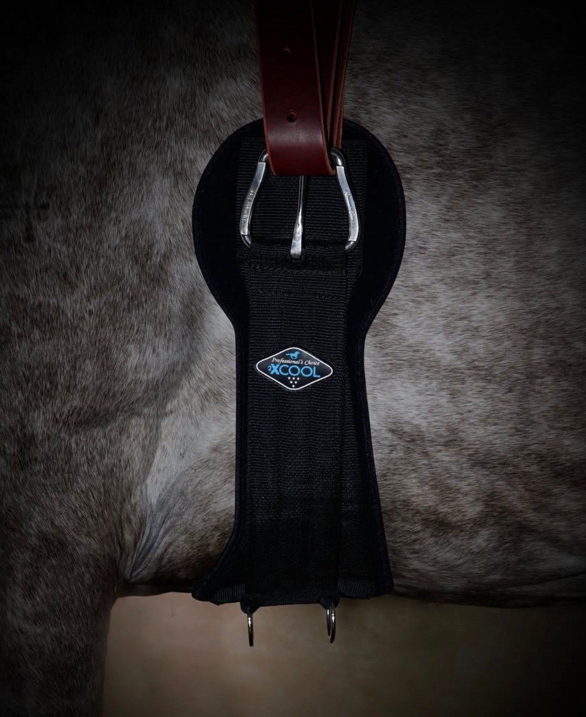 SOTTOPANCIA E RISCONTRI