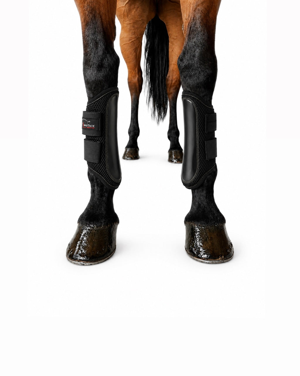 STINCHIERE SMARTACK