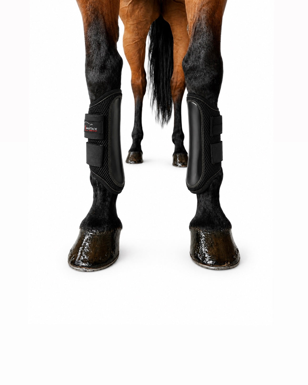STINCHIERE SMARTACK