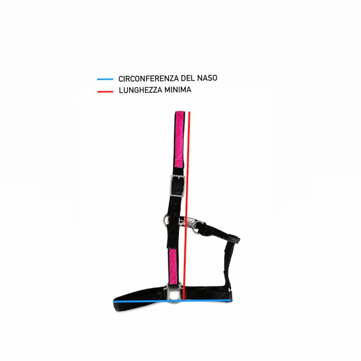 CAPEZZA SMARTACK PERSONALIZZABILE