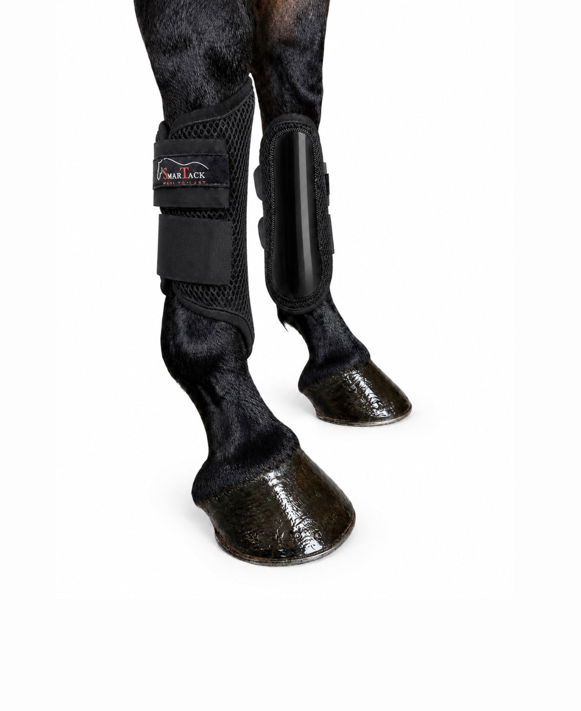STINCHIERE SMARTACK