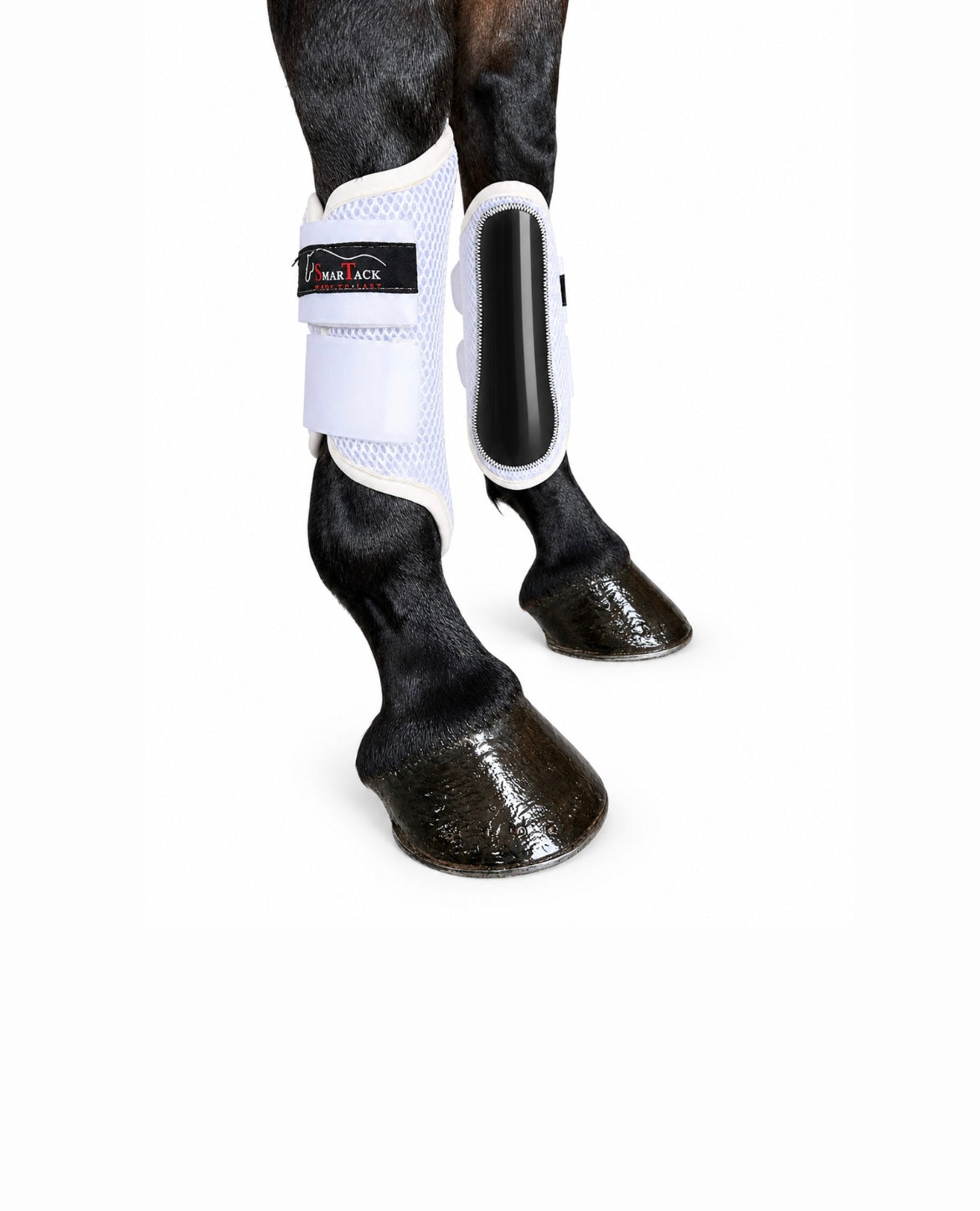 STINCHIERE SMARTACK