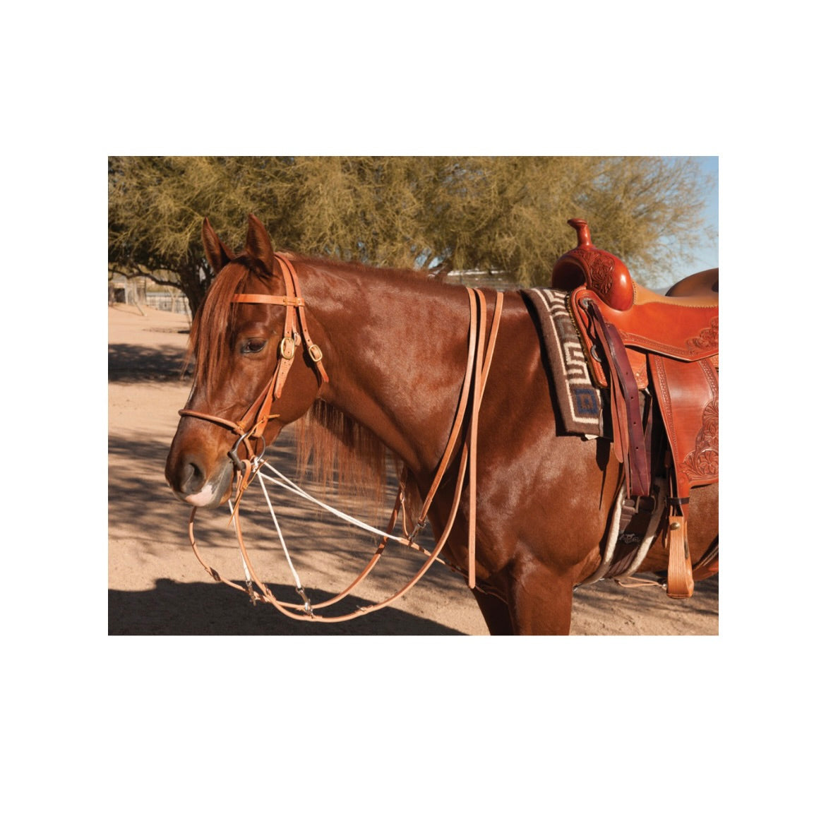 MARTINGALA TEDESCA PROFESSIONAL'S CHOICE