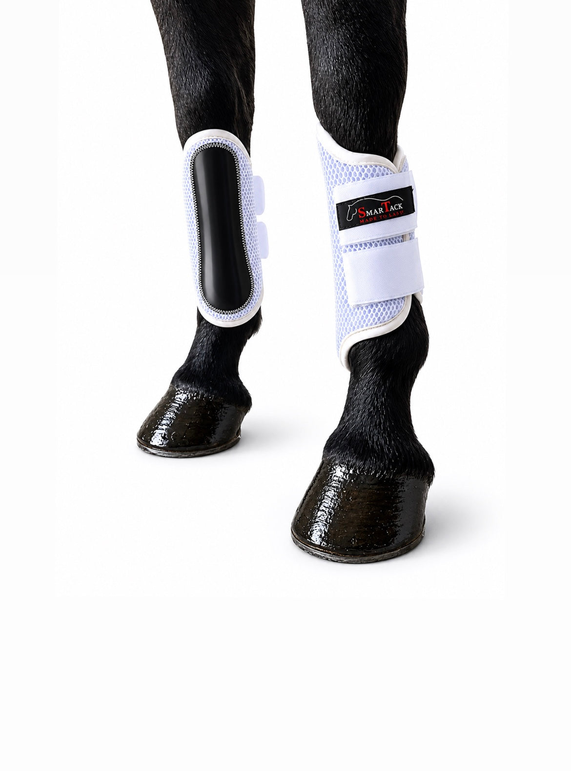 STINCHIERE SMARTACK