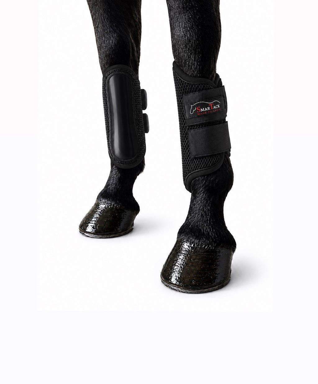 STINCHIERE SMARTACK