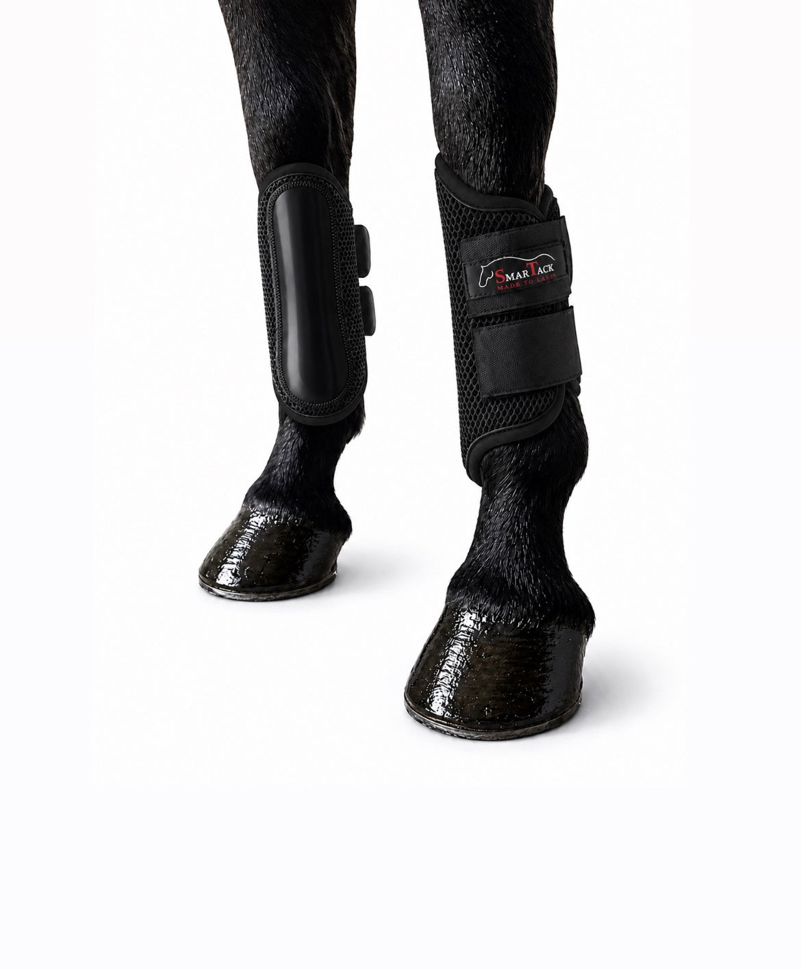 STINCHIERE SMARTACK