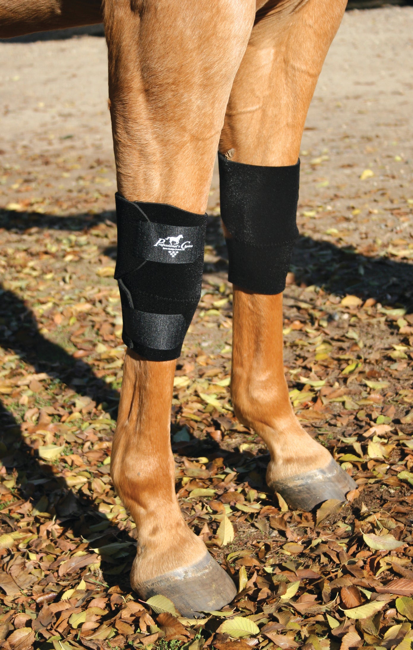 GINOCCHIERE IN COPPIA PROFESSIONAL'S CHOICE